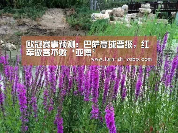 欧冠赛事预测:巴萨赢球晋级,红军做客不败‘亚博’(图1) 亚博体育