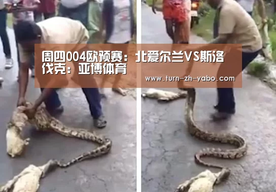 周四004欧预赛:北爱尔兰VS斯洛伐克:亚博体育(图1) 亚博体育