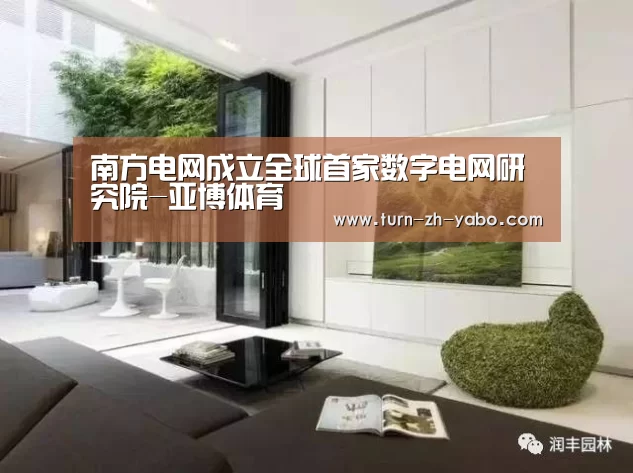 南方电网成立全球首家数字电网研究院-亚博体育(图1) 亚博
