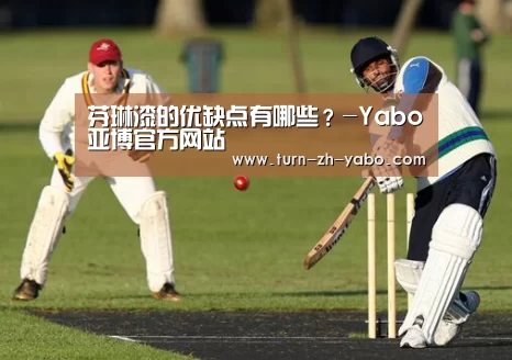芬琳漆的优缺点有哪些？-Yabo亚博官方网站